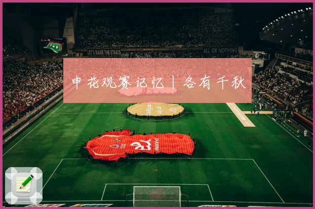 申花观赛记忆丨各有千秋
